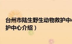 台州市陆生野生动物救护中心（关于台州市陆生野生动物救护中心介绍）