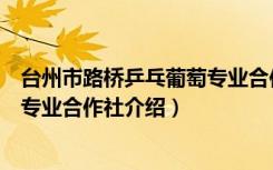 台州市路桥乒乓葡萄专业合作社（关于台州市路桥乒乓葡萄专业合作社介绍）