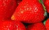 研究人员发现草莓可以抑制小鼠的乳腺癌