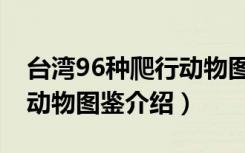 台湾96种爬行动物图鉴（关于台湾96种爬行动物图鉴介绍）