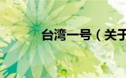 台湾一号（关于台湾一号介绍）