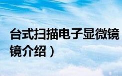 台式扫描电子显微镜（关于台式扫描电子显微镜介绍）
