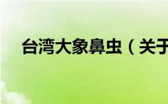 台湾大象鼻虫（关于台湾大象鼻虫介绍）