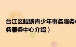 台江区鲲鹏青少年事务服务中心（关于台江区鲲鹏青少年事务服务中心介绍）