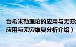 台希米勒理论的应用与无穷维复分析（关于台希米勒理论的应用与无穷维复分析介绍）
