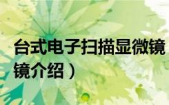 台式电子扫描显微镜（关于台式电子扫描显微镜介绍）