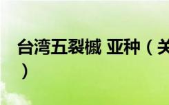 台湾五裂槭 亚种（关于台湾五裂槭 亚种介绍）