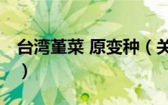 台湾堇菜 原变种（关于台湾堇菜 原变种介绍）