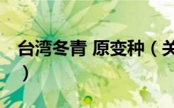 台湾冬青 原变种（关于台湾冬青 原变种介绍）