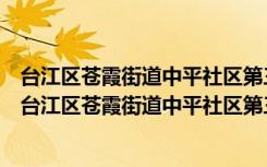 台江区苍霞街道中平社区第三党支部党员志愿服务队（关于台江区苍霞街道中平社区第三党支部党员志愿服务队介绍）