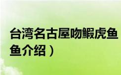 台湾名古屋吻鰕虎鱼（关于台湾名古屋吻鰕虎鱼介绍）