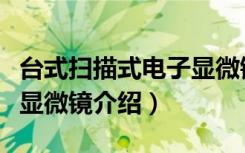 台式扫描式电子显微镜（关于台式扫描式电子显微镜介绍）