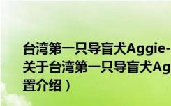 台湾第一只导盲犬Aggie--你的左边曾是我最骄傲的位置（关于台湾第一只导盲犬Aggie--你的左边曾是我最骄傲的位置介绍）