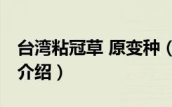 台湾粘冠草 原变种（关于台湾粘冠草 原变种介绍）