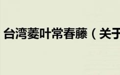 台湾菱叶常春藤（关于台湾菱叶常春藤介绍）