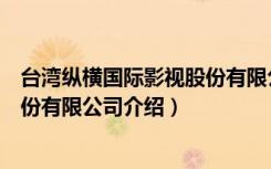 台湾纵横国际影视股份有限公司（关于台湾纵横国际影视股份有限公司介绍）