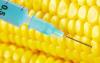 您的可储存食品是否只是重新包装转基因大豆和玉米