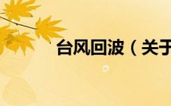 台风回波（关于台风回波介绍）