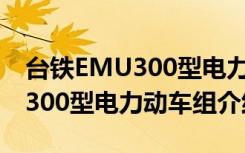 台铁EMU300型电力动车组（关于台铁EMU300型电力动车组介绍）