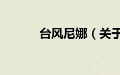 台风尼娜（关于台风尼娜介绍）