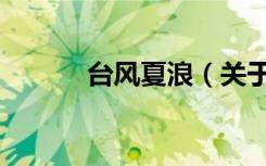 台风夏浪（关于台风夏浪介绍）