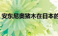 安东尼奥猪木在日本的地位（安东尼奥猪木）