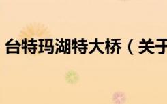 台特玛湖特大桥（关于台特玛湖特大桥介绍）