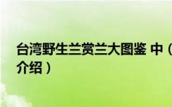 台湾野生兰赏兰大图鉴 中（关于台湾野生兰赏兰大图鉴 中介绍）