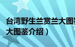 台湾野生兰赏兰大图鉴（关于台湾野生兰赏兰大图鉴介绍）