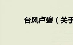 台风卢碧（关于台风卢碧介绍）