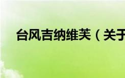 台风吉纳维芙（关于台风吉纳维芙介绍）