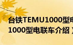台铁TEMU1000型电联车（关于台铁TEMU1000型电联车介绍）