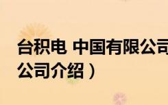 台积电 中国有限公司（关于台积电 中国有限公司介绍）