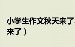 小学生作文秋天来了300字（小学生作文秋天来了）
