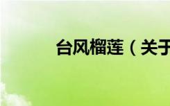 台风榴莲（关于台风榴莲介绍）