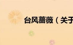 台风蔷薇（关于台风蔷薇介绍）