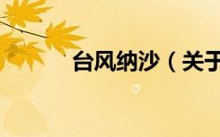 台风纳沙（关于台风纳沙介绍）