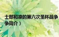 士郎和凛的第六次圣杯战争（关于士郎和凛的第六次圣杯战争简介）