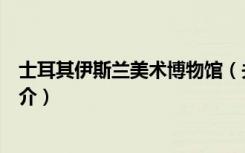 士耳其伊斯兰美术博物馆（关于士耳其伊斯兰美术博物馆简介）