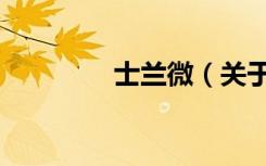 士兰微（关于士兰微简介）