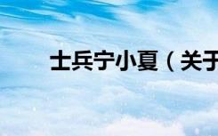 士兵宁小夏（关于士兵宁小夏简介）