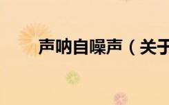 声呐自噪声（关于声呐自噪声简介）