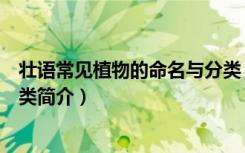 壮语常见植物的命名与分类（关于壮语常见植物的命名与分类简介）