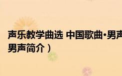 声乐教学曲选 中国歌曲·男声（关于声乐教学曲选 中国歌曲·男声简介）
