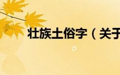 壮族土俗字（关于壮族土俗字简介）