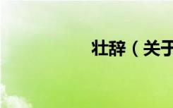 壮辞（关于壮辞简介）