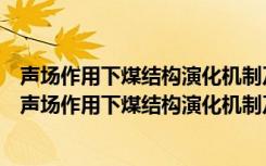 声场作用下煤结构演化机制及煤层气渗流特性的研究（关于声场作用下煤结构演化机制及煤层气渗流特性的研究简介）