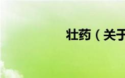 壮药（关于壮药简介）