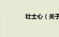 壮士心（关于壮士心简介）