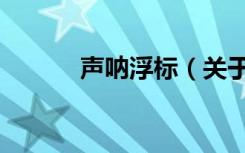 声呐浮标（关于声呐浮标简介）